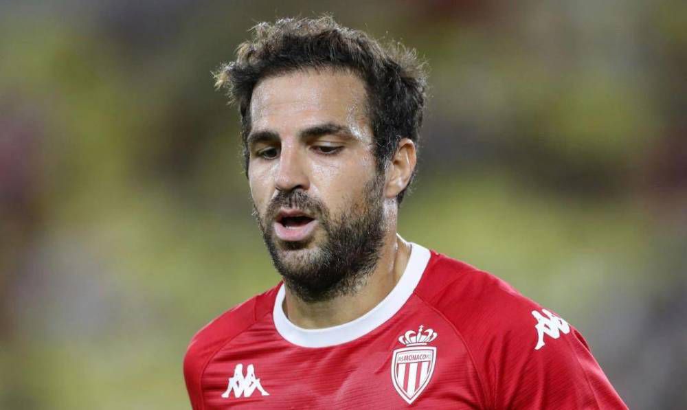www.python.