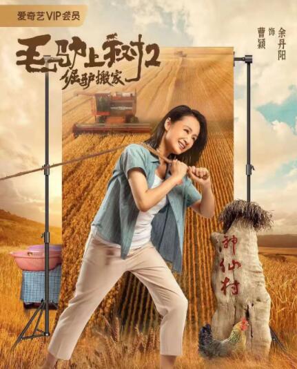 69视频在线观看高清