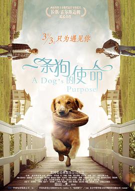 0verflow动漫全集免费观看