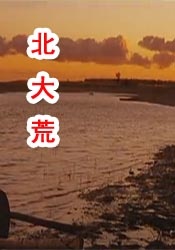 免费观看黄a一级视频