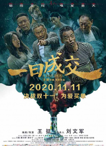 久久99久久99精品中文字幕