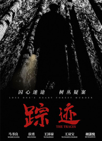 免费看成年人视频