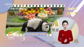 成人老司机深夜福利久久